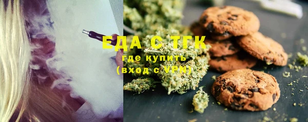 spice Богданович